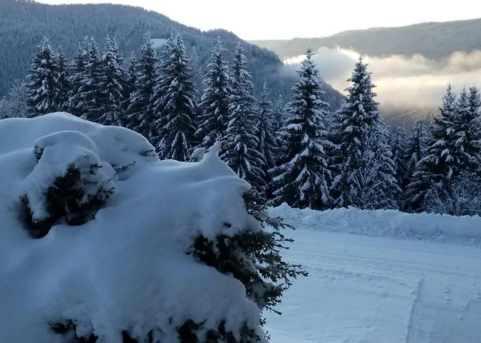 Appartement Stampfer